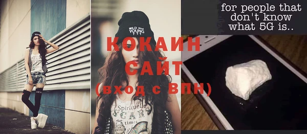 молекула духа Покровск