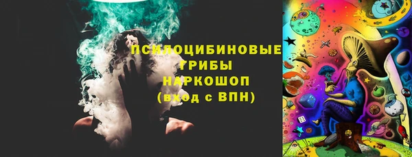 молекула духа Покровск