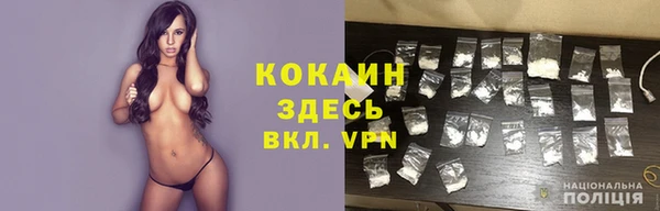 молекула духа Покровск