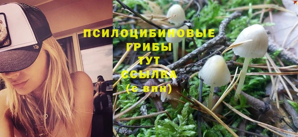 молекула духа Покровск