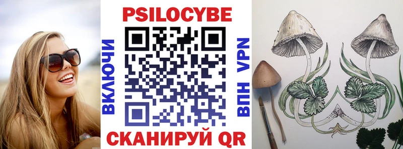 дарнет шоп  Чусовой  Галлюциногенные грибы ЛСД 