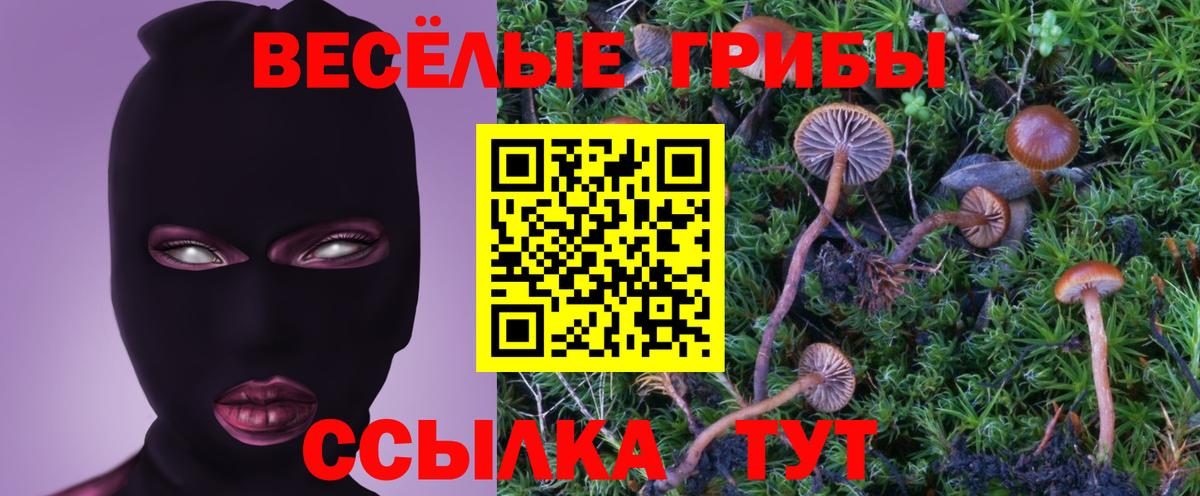 Псилоцибиновые грибы Cubensis  как найти   Галлюциногенные грибы ЛСД  Чусовой 