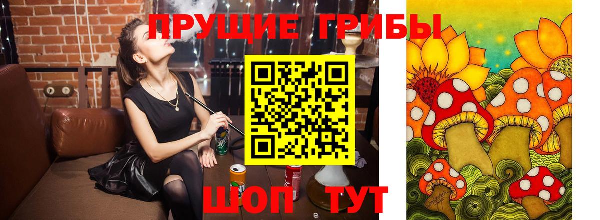 Галлюциногенные грибы мицелий Чусовой