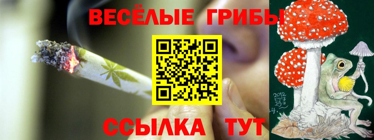 Галлюциногенные грибы мицелий  Вход с VPN  Чусовой 