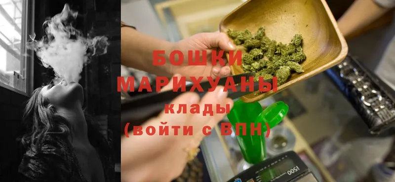 продажа наркотиков  Чусовой  Шишки марихуана сатива 