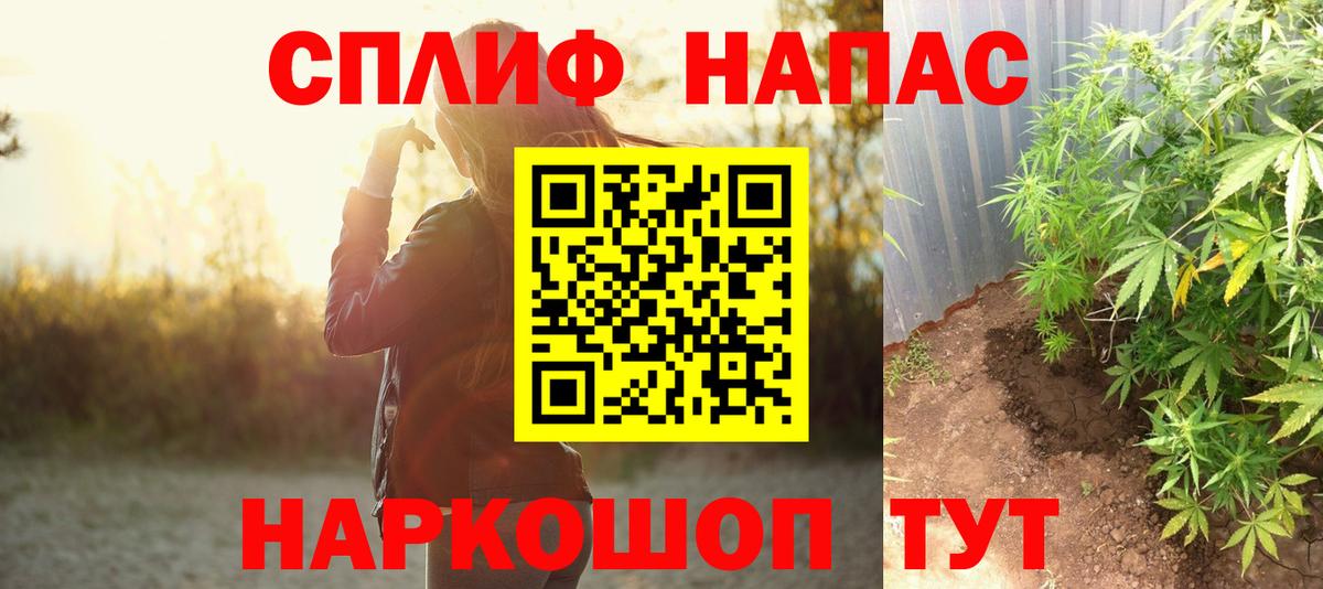 Канабис планчик  Шишки марихуана VHQ  Чусовой  Каннабис индика  Каннабис Amnesia 